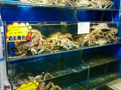 -蚝专家(北滘店)