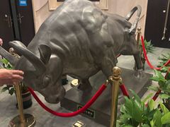 -华西龙希国际大酒店旅游观光景区