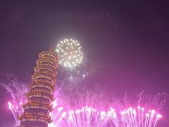 -芜湖新华联大白鲸海洋公园