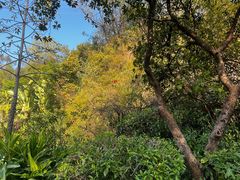 -广州莲花山旅游区