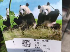-上海野生动物园