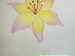 -谷隆画舍·国画书法素描彩铅水彩