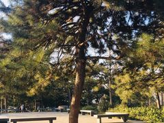 -玲珑塔公园
