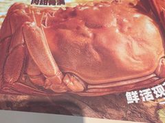 -点都德·毕德寮
