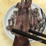 它一个就会吸引很多同伴过来了