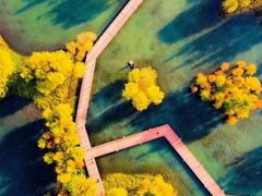 -贡湖湾湿地公园
