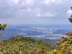 -梧桐山风景名胜区