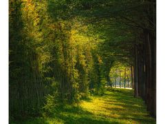 -广州国际生物岛