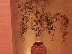 -舒小悦·舒养SPA·古法推拿(光环中心店)