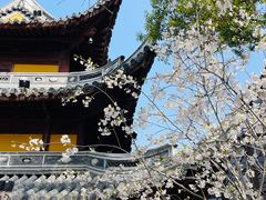 -龙华寺