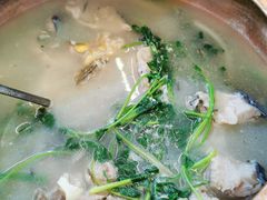 清炖桂花鱼鱼汤-湖景渔湾