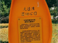 -前关湿地公园