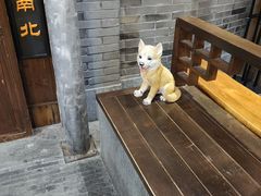 -吾悦广场(南京鼓楼店)