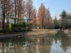 -洛阳市隋唐城遗址植物园