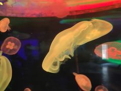 -多彩贵州城极地海洋世界