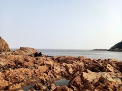 -东沙渔村