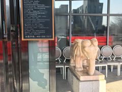 -辛香味烧鱼馆·非遗技艺·排骨红烧肉(光谷医药园店)