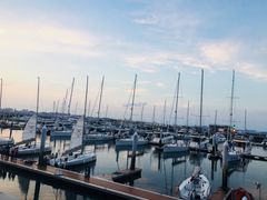 -东港音乐喷泉广场