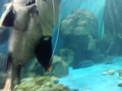 -多彩贵州城极地海洋世界