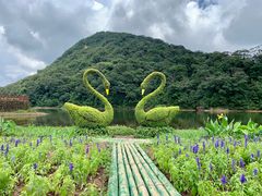 -广州市石门国家森林公园