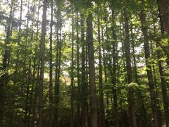 -青岛崂山太清宫