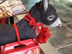 -乔家小院•非遗驴肉•本地小海鲜(滨河路店)