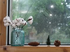 -COTTON CAFE(德信·中外公寓店)