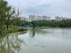 -昆山城市生态森林公园