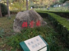 -黄村公园