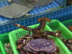 -富临港蒸汽海鲜(栈桥店)