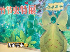 -上海昆虫博物馆