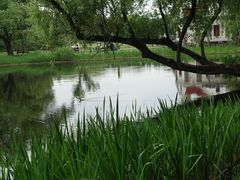 -上海共青森林公园