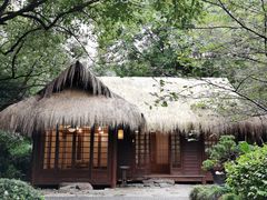 -中国茶叶博物馆(双峰馆区)
