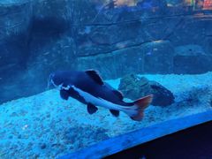 -成都浩海立方海洋公园