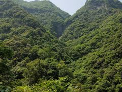 -宁波五龙潭景区