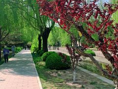 -元大都城垣遗址公园