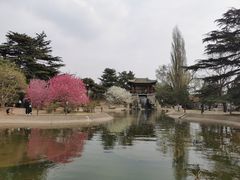 -国家植物园南园