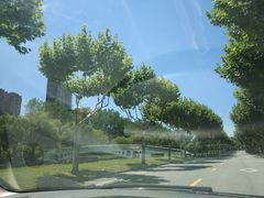 -同济大学(嘉定校区)