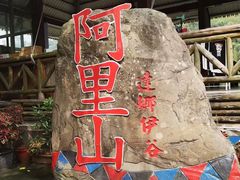 -台北101
