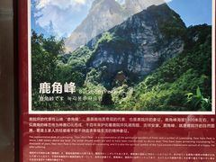 -鹿院坪生态旅游景区