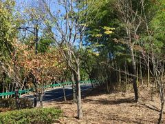 -南京市无想山景区