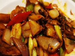 -金蝉食府(维吉奥广场店)