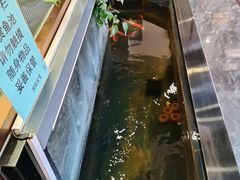 -洞庭家宴·头牌甲鱼(广渠门店)