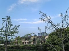 -府河摄影公园