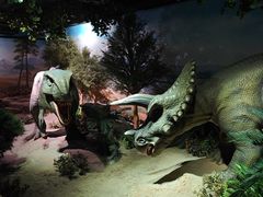 -国家自然博物馆