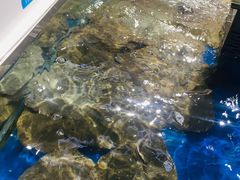 -盒马鲜生(莱蒙都会店)