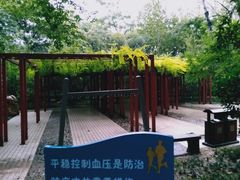 -西安市长乐公园