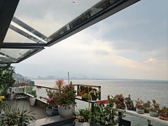 -野菌皇海景野生菌火锅(滨海大道店)