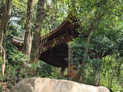 -杭州半山国家森林公园