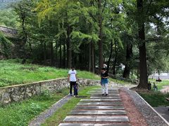 -阳台山自然风景区